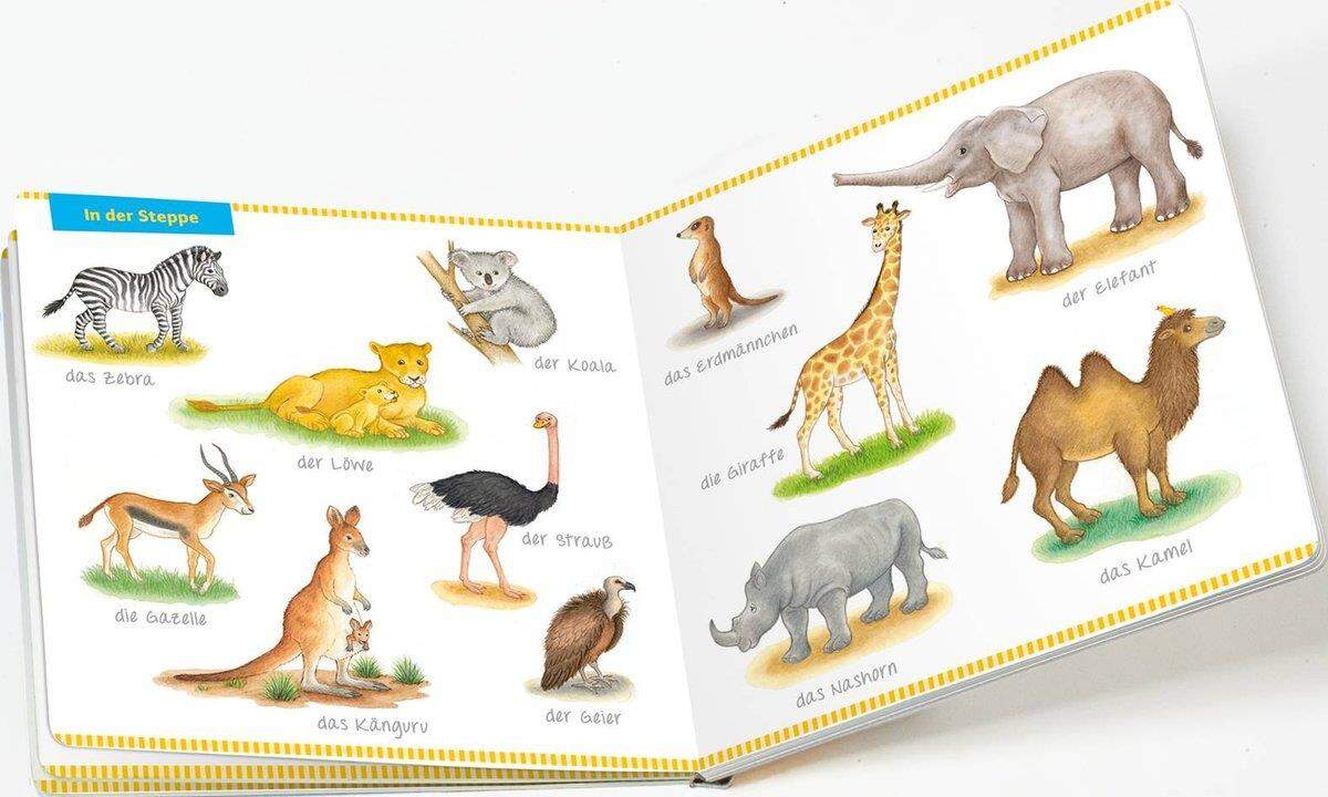 Tessloff Mein Bildwörterbuch Zoo: Spielerisches Lernen der ersten Wörter