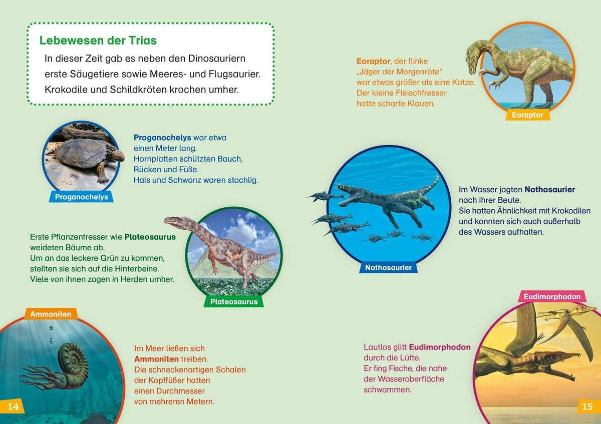 Tessloff WAS IST WAS - Erstes Lesen Band 13: Dinosaurier