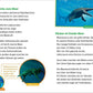 Tessloff WAS IST WAS - Erstes Lesen Band 13: Dinosaurier