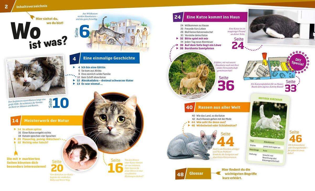 Tessloff WAS IST WAS 059 - Katzen, Flinke Jäger auf Samtpfoten