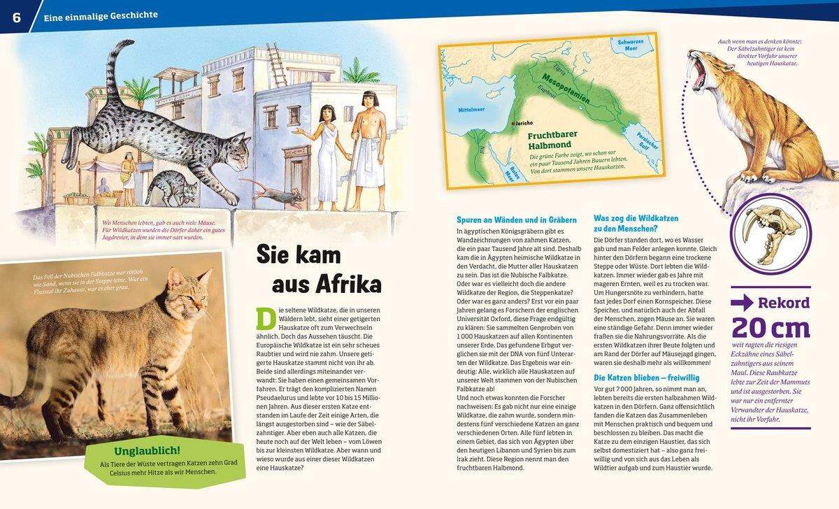 Tessloff WAS IST WAS 059 - Katzen, Flinke Jäger auf Samtpfoten