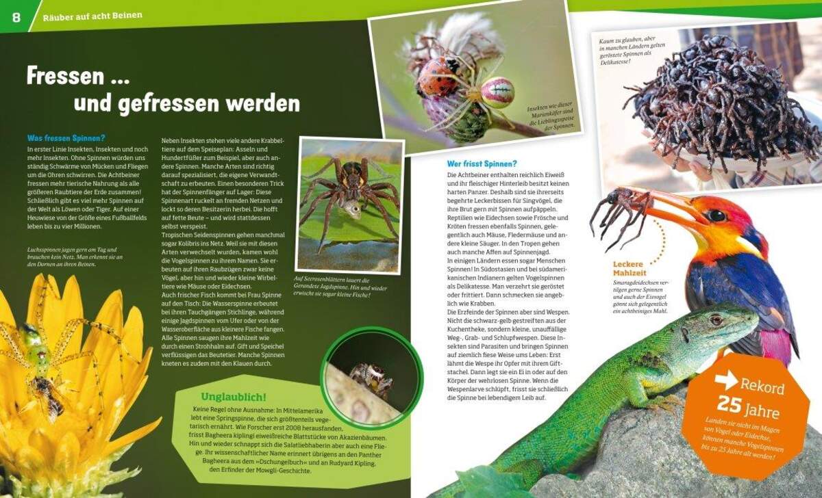 Tessloff WAS IST WAS Band. 73 - Spinnen
