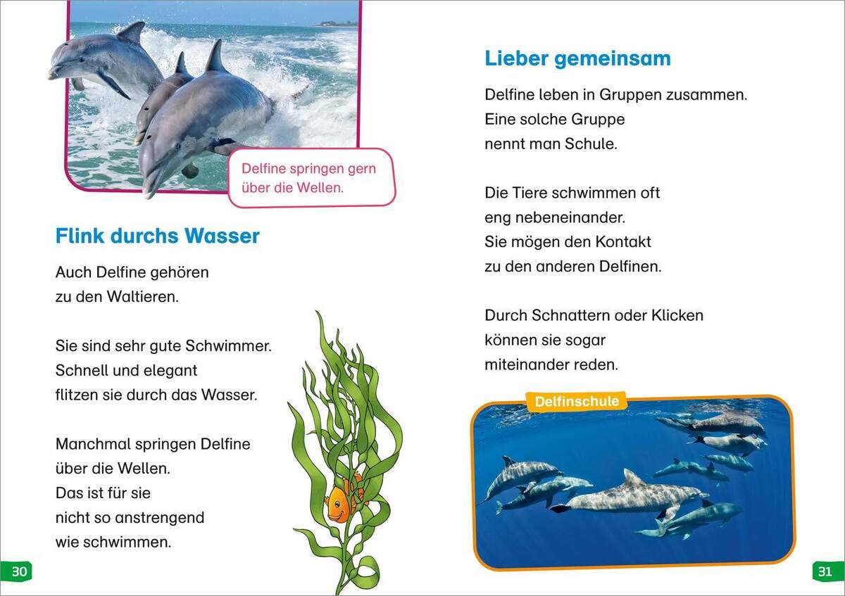 Tessloff WAS IST WAS Erstes Lesen easy! Band 2. Tiere im Meer