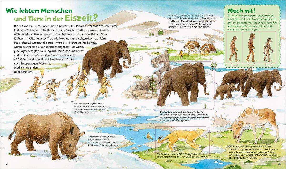 Tessloff WAS IST WAS Junior - Dinosaurier und Tiere der Urzeit