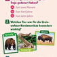 Tessloff WAS IST WAS Quiz Abenteuer Geschichte: Über 100 Fragen und Antworten!