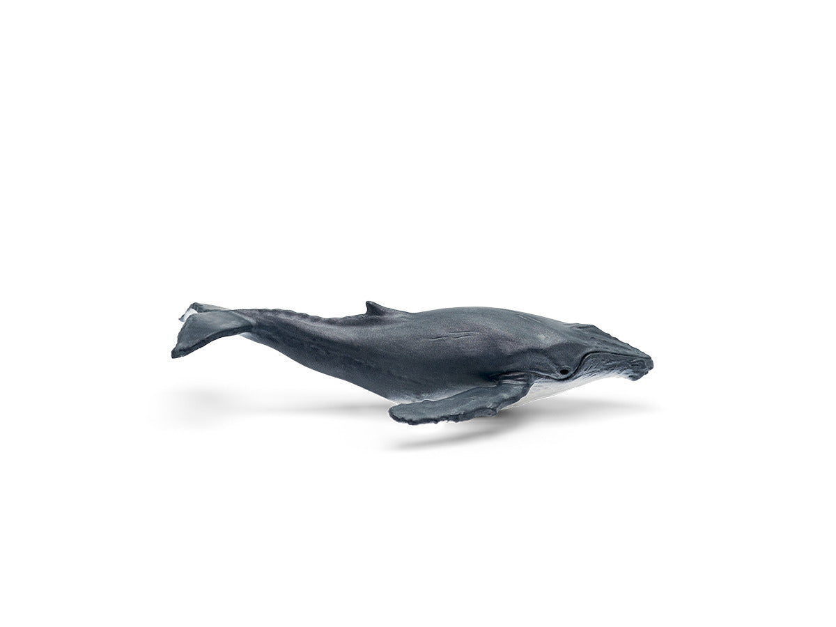 tonies® Hörfigur - WAS IST WAS: Wale & Delfine/Geheimnisse, Tiefsee