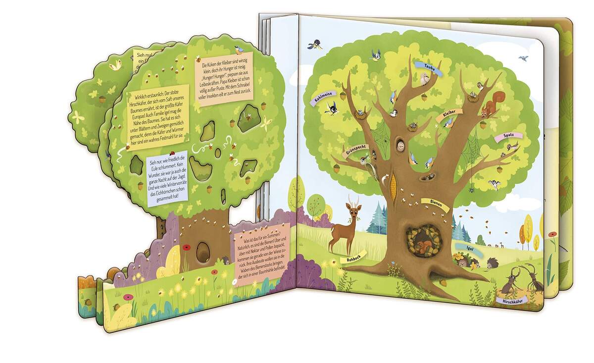 Trötsch Fensterbuch Der Baum